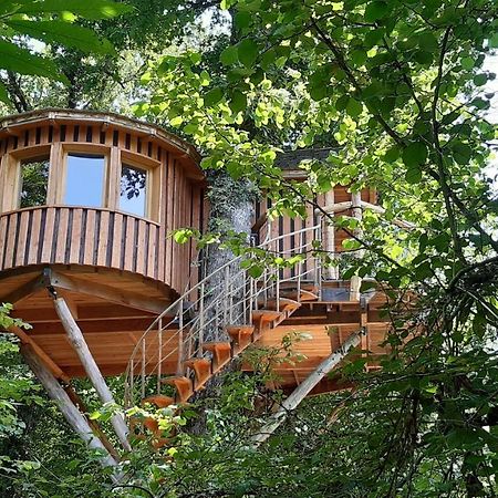 Caban'Aspe Villa Accous Exterior photo